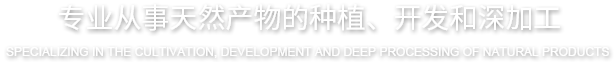 岳陽(yáng)中展科技有限公司